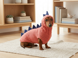 Dinosaur Dragon Costume Sweater and Hat Zoo Animal Clothes