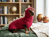 Dachshund Halloween Dinosaur Outfit Costume Sweater and Hat