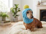 Blue hat with yellow pompom for small dogs, dog clothes hat with pompom, dachshund hat with pompom