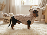Вear hoodie for dog aran melange cable suit with ears for dachshund