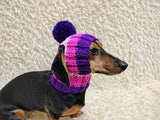 Multi-Color Striped Dog Snood: Hand-Knit Pom-Pom Beanie for Dachshunds