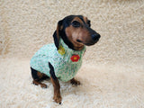 Handmade Cable Knit Dachshund Sweater | Warm Dog Clothes