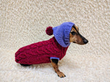 Cozy Dachshund Sweater, Hand Knit Cable Jumper for Doxie, Winter Wiener Dog Clothes, Custom Pet Apparel, Magenta Purple Knitwear for Dogs
