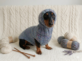 Mohair Dog Sweater and Hat Set: Warm Winter Dachshund Suit