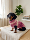 Knitted Melange Wool Pet Jumper Dog Clothes Sweater With Braid, jumper for small dogs, clothes sweater for dogs