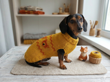 Bears Pet Clothes Dog Sweater with Bears,Bear Dachshund Clothes Jumper