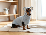 Bear costume made of alpaca wool for dogs, dachshund bear set sweater and hat