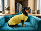 Dachshund Halloween Dinosaur Outfit Costume Sweater and Hat-dino pet cloches jamper