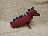 Knitted Dinosaur Dog Costume – Warm Dino Sweater with Matching Hat
