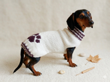 Sweater outfit wool winter for pets dog dachshund with paw