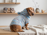 Knitted hoodie sweater for dog, hoodie for miniature dachshund
