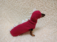 Dachshund Halloween Dinosaur Outfit Costume Sweater and Hat