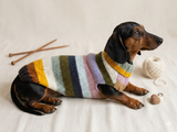 Multi color pet clothes striped dog sweater
