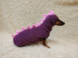 Cute Dino Dog Outfit – Personalized Handcrafted Dog Sweater Set