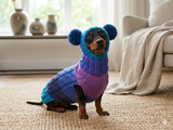 Pet Costume with Aran and Pom Poms Sweater and Hat Set of Dog Clothes