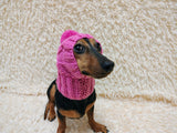 Warm winter snood hat for a dog with a pom-pom