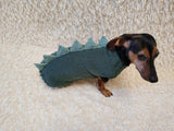 Cozy Dinosaur Dog Jumper – Unique Pet Gift for Small Dogs