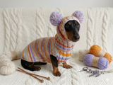 Lollipop suit for mini dachshund sweater and hat,suit set sweater and hat for dog,wiener sweater and hat, dog set sweater and hat set