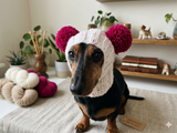 Winter wool melange aran hat for dog with two large pompoms