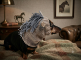 Knitted Donkey Snood Hat for Dachshund - Handmade Dog Costume with Ears and Mane