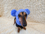 Clothing for miniature dachshund or small dog hat with two pompons