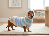 Clothing for dachshund or small dog with sweater with hoodie