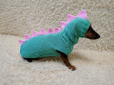 Dinosaur Dachshund Sweater with Hat  Knitted Dog Costume for Wieners