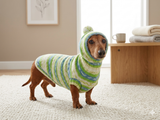 Clothing for dachshund or small dog with sweater with hoodie
