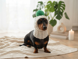 Clothes for dogs handmade knitted hat with pompon