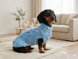 Exclusive sweater for a dog with butterflies and flowers, clothes sweater for a dachshund with flowers and butterflies