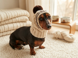 Winter hat for a dog with handmade pom-poms