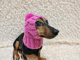 Warm winter snood hat for a dog with a pom-pom