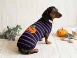 Dog costumes pumpkin sweater, dog costumes for halloween, pumpkin halloween costumes for pets, puppies, cat and dog sweater for halloween