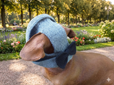 Summer hat Panama for the dog gray with black bow, summer clothes for pets