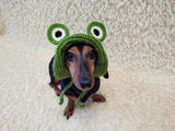 Frog Dog Bucket Hat, summer panama cap with open ears dachshund, pet clothes photo shoot gift dog's mom