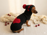 Heart suit for pet sweater and hat dog warm suit set