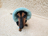 Panama dog an Easter bunny, summer hat for dachshund, sun protection with open ears