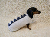 Funny Dinosaur Dog Sweater – Handmade Crochet Pet Clothing