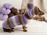 Costume for miniature dachshund sweater and hat, Doxie sweater and hat set, clothes for small dog of dachshund