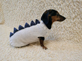Funny Dinosaur Dog Sweater – Handmade Crochet Pet Clothing