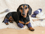 Alpaca Wool Dog Leg Warmers: Set of 4 Pet Gaiters