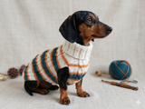 Dachshund clothes knitted sweater, knitted wool sweater for dachshund or small dog