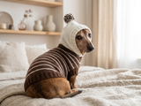 Brown Striped Hoodies for Dogs