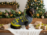 Snowflakes dinosaurs trees Christmas sweater for dog bright festive costume , Holiday  New Year clothes pet apparel outfit dachshund jamper