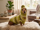 Winter warm sweater set and hat for a dog,clothes for dachshunds