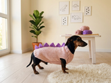 Cute Dinosaur Dog Jumper - Handmade Winter Apparel for Pets