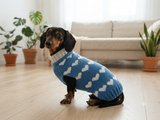Dachshund knitted heart sweater, clothing Dachshund heart sweater, Valentine's day dog sweater, sweater for dachshunds, clothes for dog