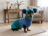 Pet Costume with Aran and Pom Poms Sweater and Hat Set of Dog Clothes