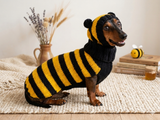 Bee Costume for Pet - Halloween Costume Sweater and Hat - Bee Dachshund Bee Set for Dog Photo Shoot - Dog Halloween Costume for Small Dog