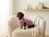 Dachshund knitted heart sweater, clothing Dachshund heart sweater, Valentine's day dog sweater, sweater for dachshunds, clothes for dog